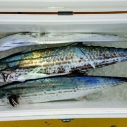 火遠理丸(ほおりまる) 釣果