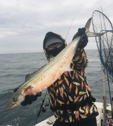 シーモンキー 釣果