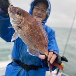 リトルワン 釣果