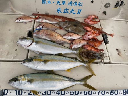 末広丸(熊本) 釣果