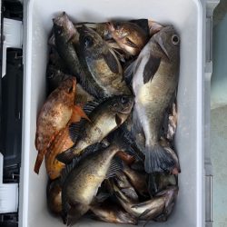 フィッシング　キッタカ 釣果