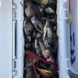 フィッシング　キッタカ 釣果