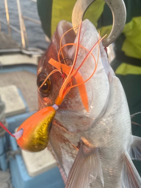 龍神丸(鹿児島) 釣果