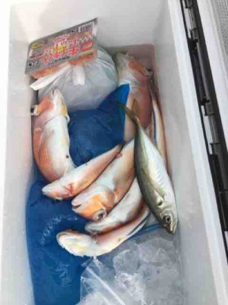 龍宮丸 釣果
