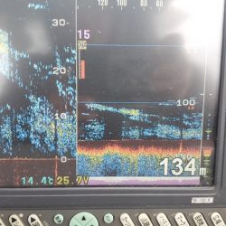 遊漁船 ニライカナイ 釣果