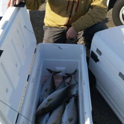 第五慶門丸 釣果