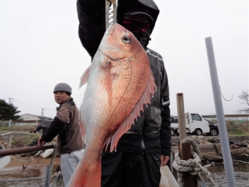 鯛紅丸 釣果