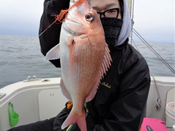 鯛紅丸 釣果