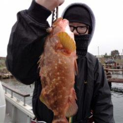 鯛紅丸 釣果