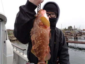 鯛紅丸 釣果