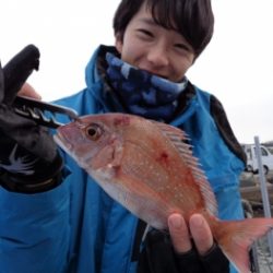 鯛紅丸 釣果