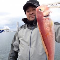 鯛紅丸 釣果