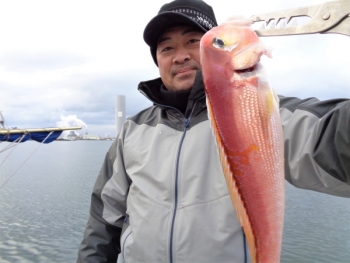 鯛紅丸 釣果