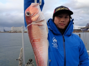 鯛紅丸 釣果