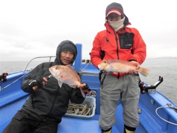 鯛紅丸 釣果