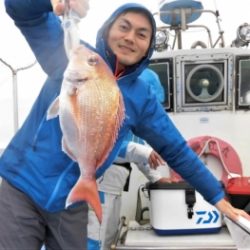 鯛紅丸 釣果