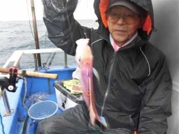 鯛紅丸 釣果