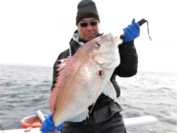 鯛紅丸 釣果