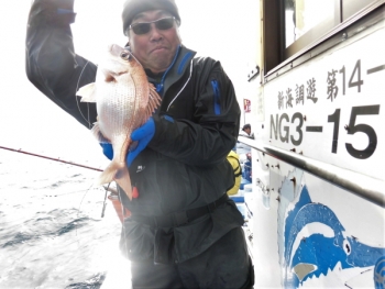 鯛紅丸 釣果