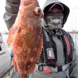 鯛紅丸 釣果
