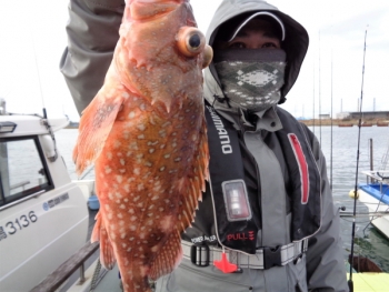 鯛紅丸 釣果