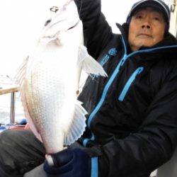 鯛紅丸 釣果