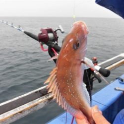 鯛紅丸 釣果