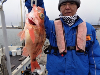 鯛紅丸 釣果