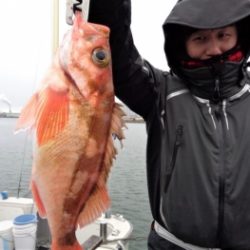 鯛紅丸 釣果