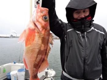 鯛紅丸 釣果