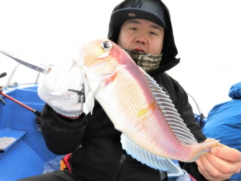 鯛紅丸 釣果