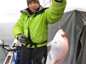 鯛紅丸 釣果
