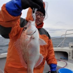 鯛紅丸 釣果