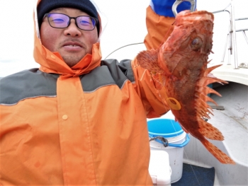 鯛紅丸 釣果