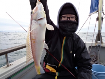鯛紅丸 釣果