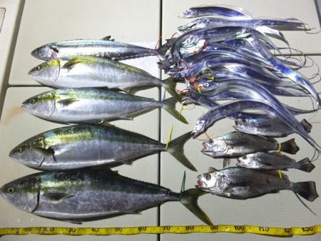 Hit Rush(ヒット ラッシュ） 釣果