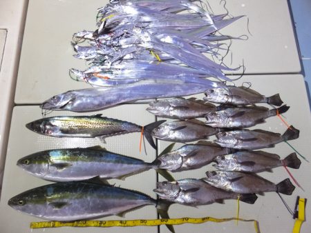 Hit Rush(ヒット ラッシュ） 釣果…