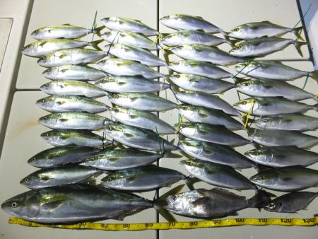 Hit Rush(ヒット ラッシュ） 釣果…