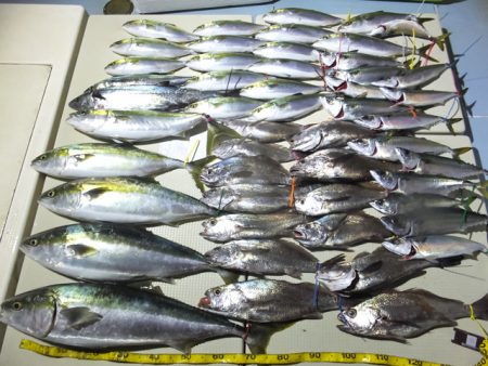 Hit Rush(ヒット ラッシュ) 釣果