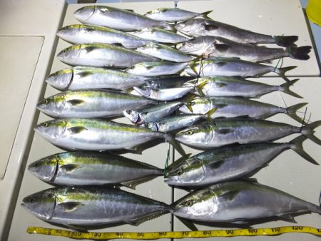 Hit Rush(ヒット ラッシュ） 釣果…