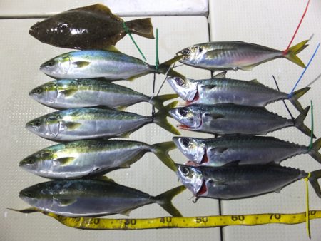 Hit Rush(ヒット ラッシュ） 釣果…