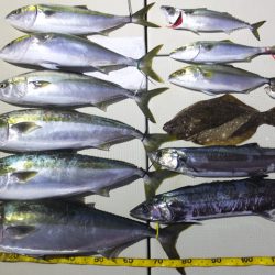 Hit Rush(ヒット ラッシュ) 釣果