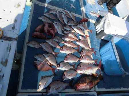 十八宝洋丸 釣果