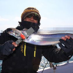 松本釣船２ 釣果