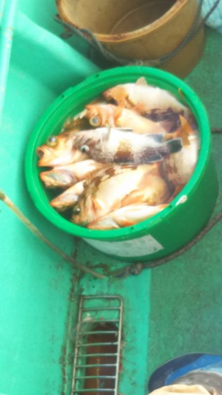 モンロー号 釣果