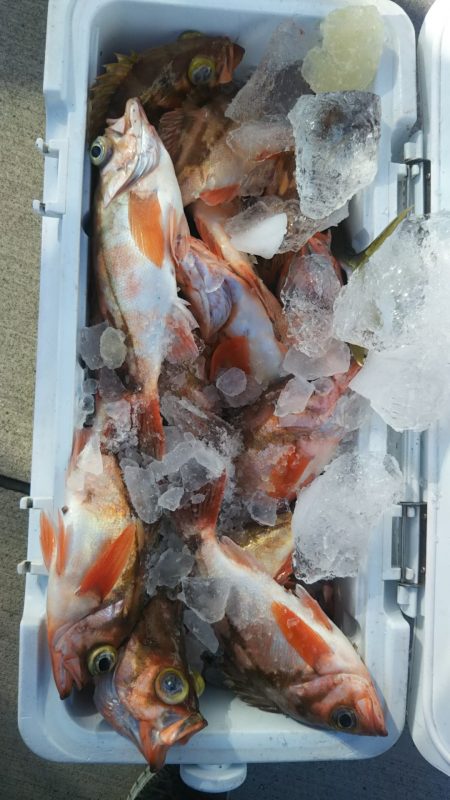 モンロー号 釣果