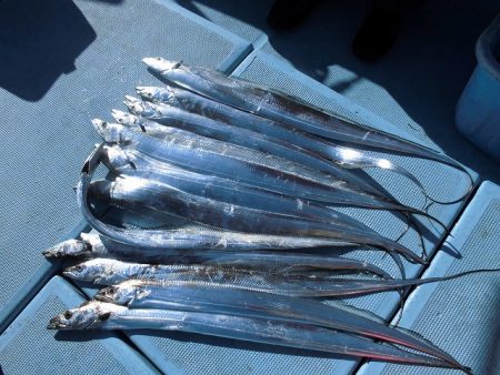 十八宝洋丸 釣果