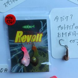 小菅トラウトガーデン 釣果