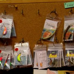 小菅トラウトガーデン 釣果