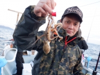 遊漁船 幸友丸 釣果